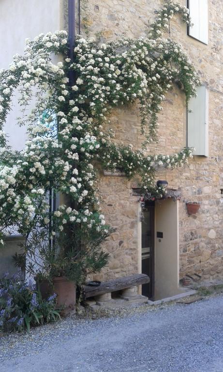 Agriturismo Il Gelso Traversetolo Exteriör bild