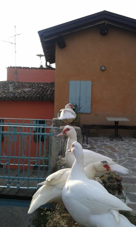 Agriturismo Il Gelso Traversetolo Exteriör bild