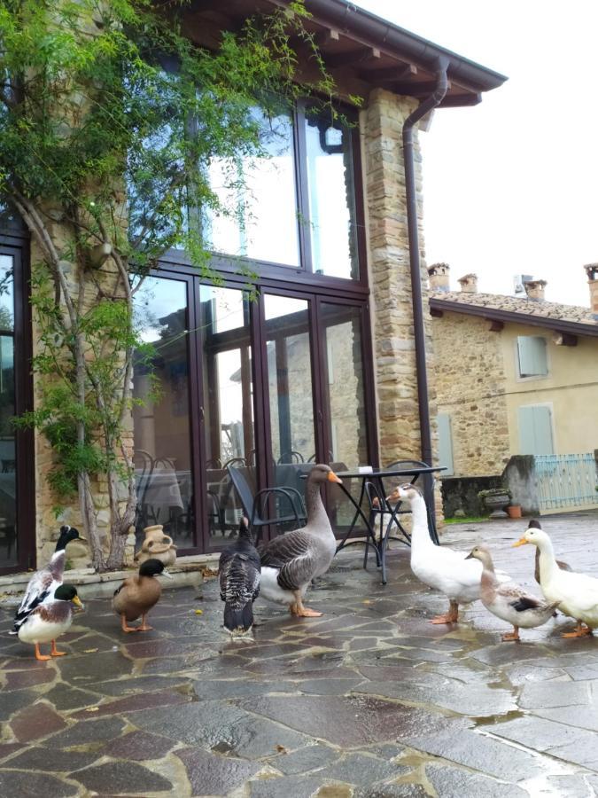 Agriturismo Il Gelso Traversetolo Exteriör bild